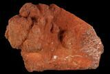 Orange Aragonite on Scalenohedral Calcite - Mexico #127078-1